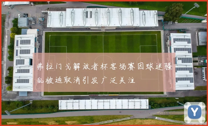 弗拉门戈解放者杯客场赛因球迷骚乱被迫取消引发广泛关注