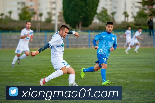 熊猫体育平台生态图